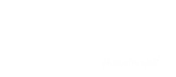 Sarah Wilson Logo