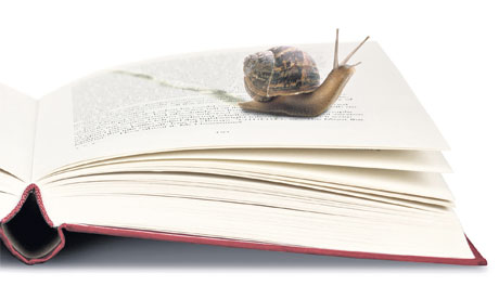 Sarah Wilson | good read: &quot;the sound of a wild snail eating&quot; - Sarah Wilson