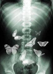 butterflies-in-my-stomach
