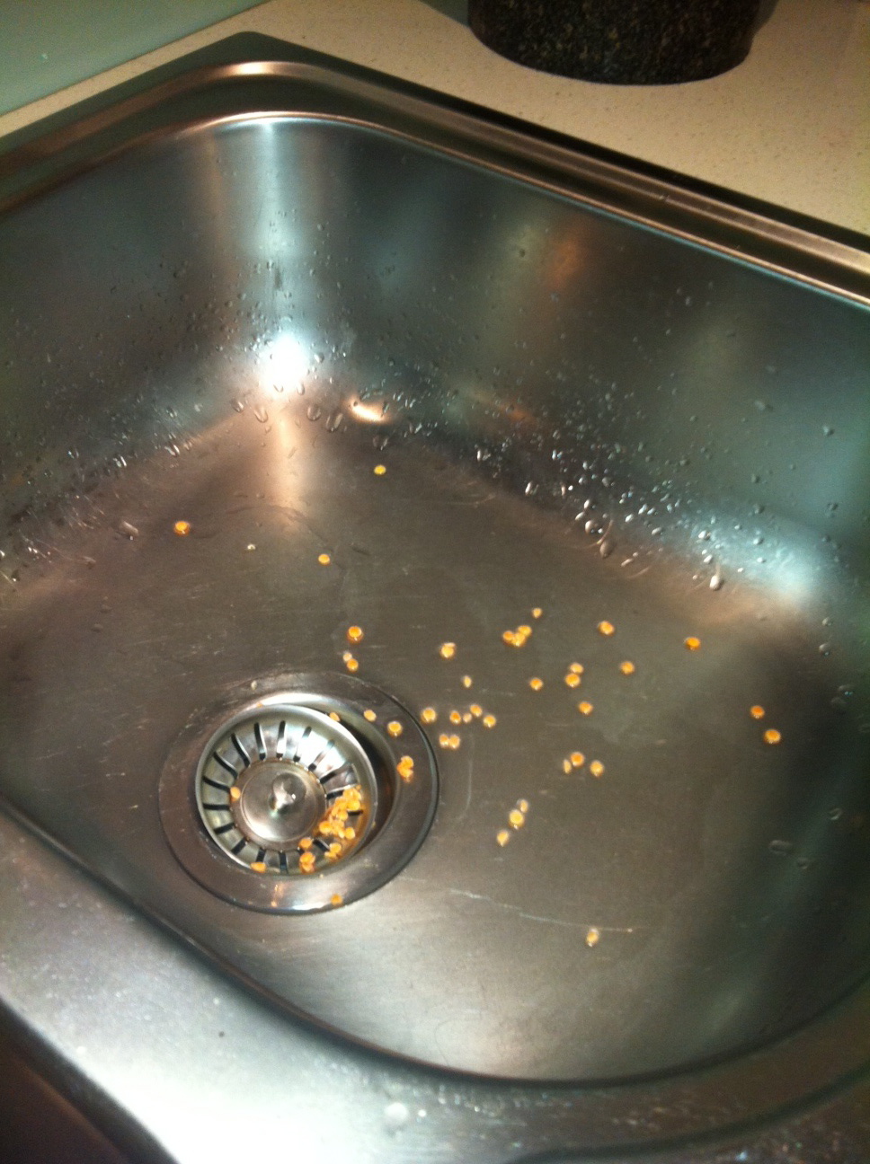 lentils in the sink