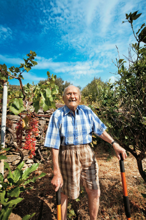 Stamatis Moraitis tending his vineyard and olive grove on Ikaria.