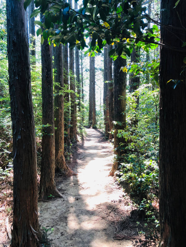 Screen Shot 2019 06 01 at 1.29.35 PM A hiking guide to Kumano Kodo, Japan